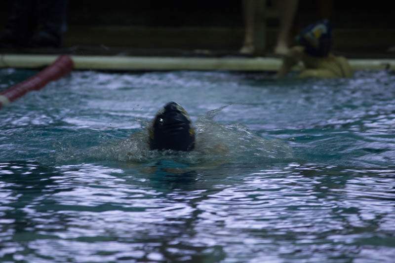 Girls Swim & Dive