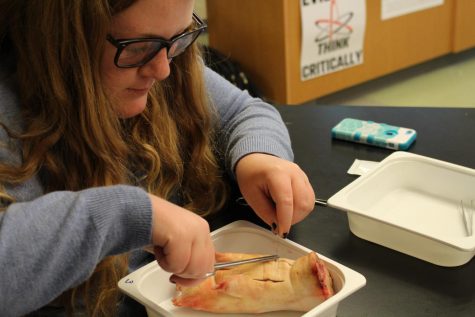 Science Has Students in Stitches