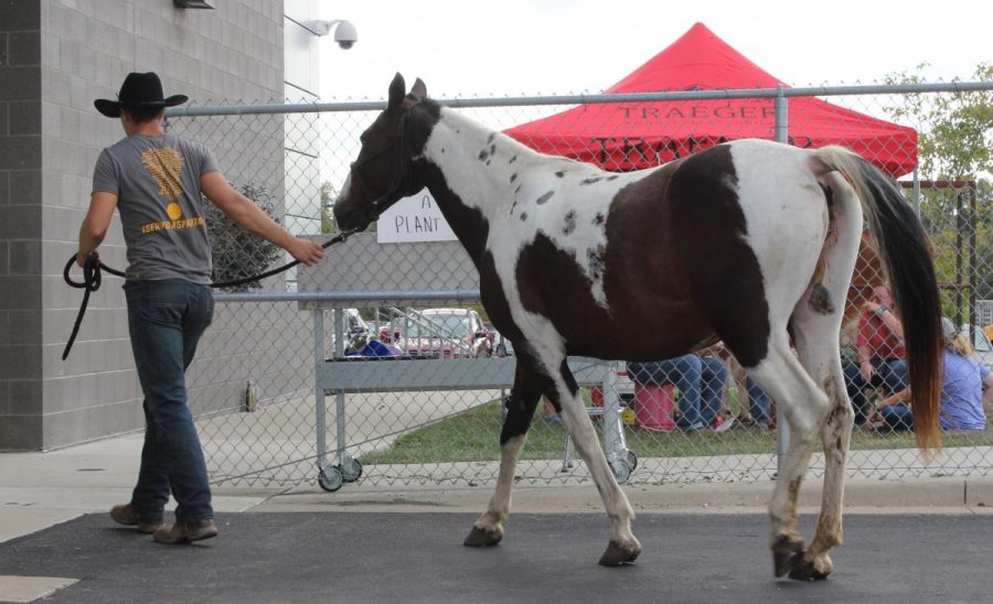 Isaiah DeShon and his horse