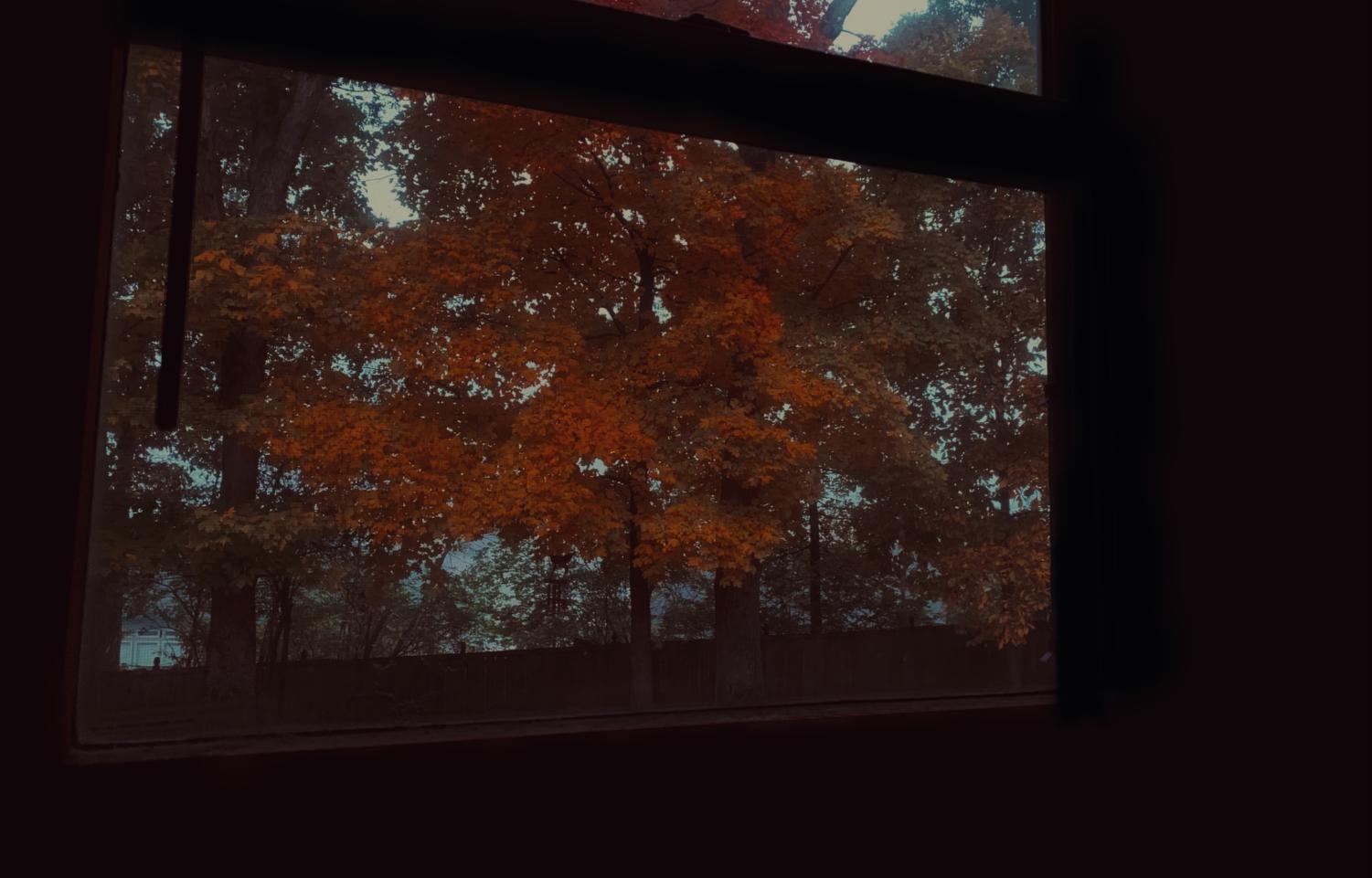 October Photo Gallery