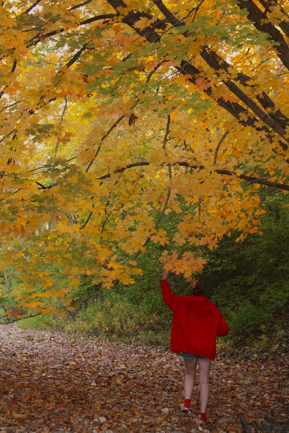 October Photo Gallery