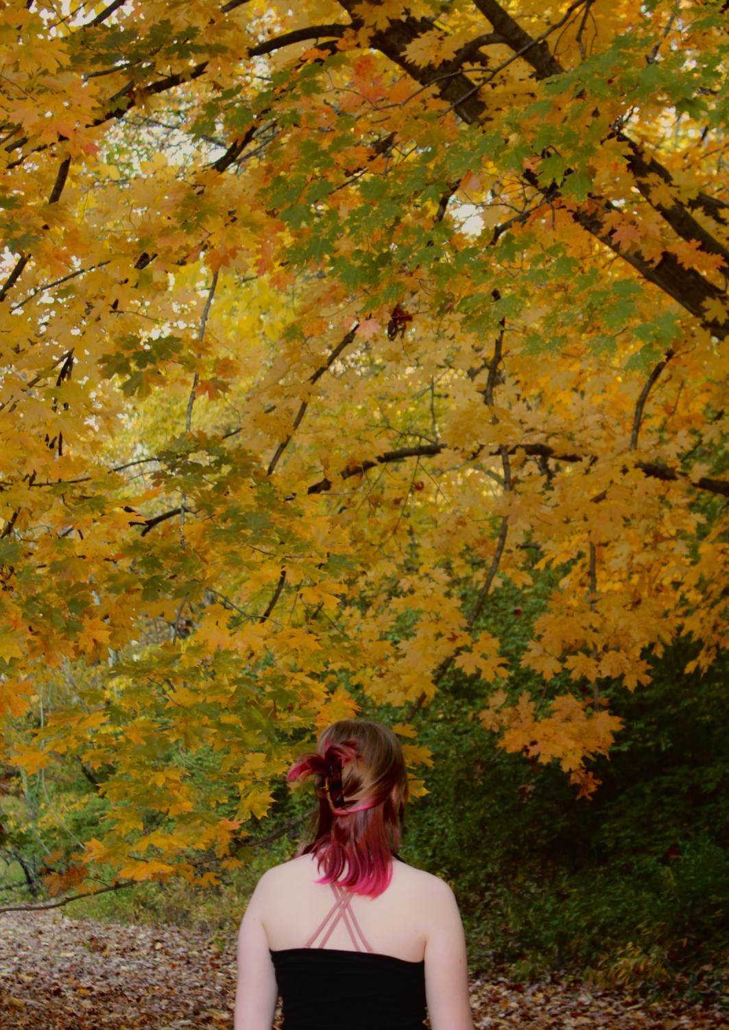 October Photo Gallery