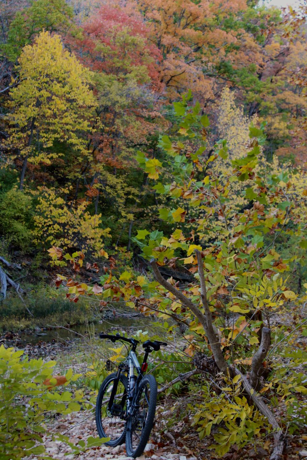 October Photo Gallery
