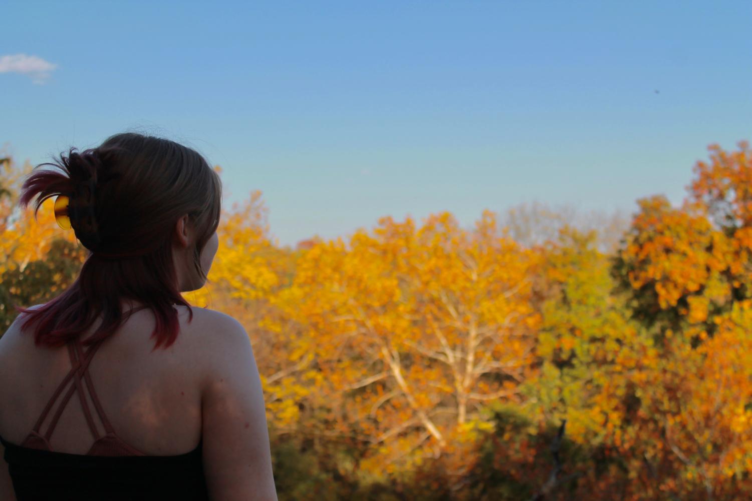 October Photo Gallery